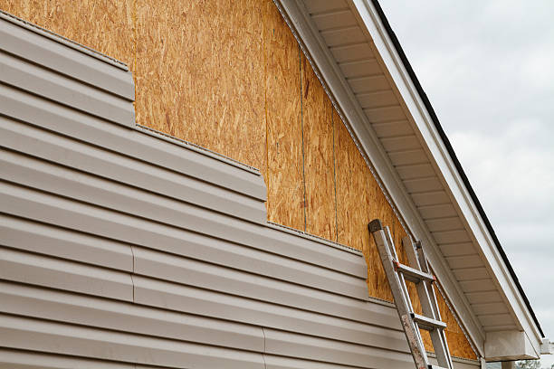 Professional Siding Inspection technician working in Lakeland, GA